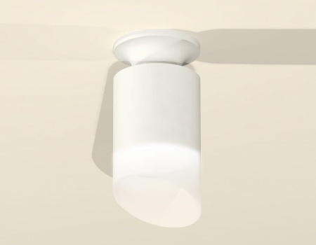 Накладной светильник Ambrella Light XS XS6301105