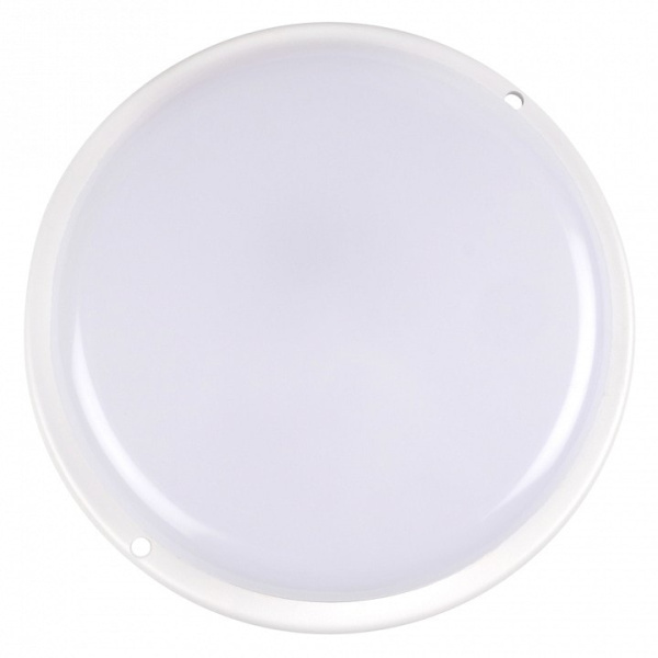 Накладной светильник Jazzway  ДПО-1044 15w 4000K IP54