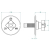 Переключатель для душа THG Ptale de cristal clair U6A.F01.48M2SB золото