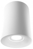 Накладной светильник LIGHTERA Shamrock LE200CL-1W