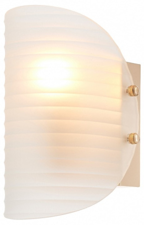 Накладной светильник Rivoli Mariana Б0066487