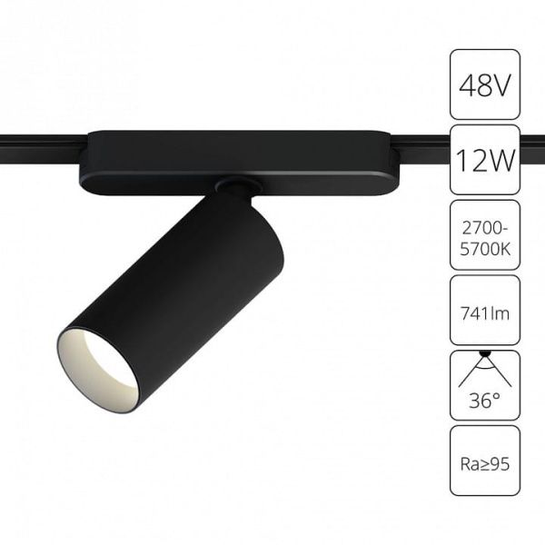 Светильник на штанге Arte Lamp Rapid A2958PL-1BK