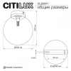 Накладной светильник Citilux ORTON CL202511