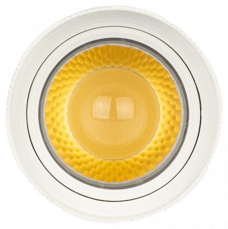 Светильник на штанге Эра  TR59 - 2040 WH