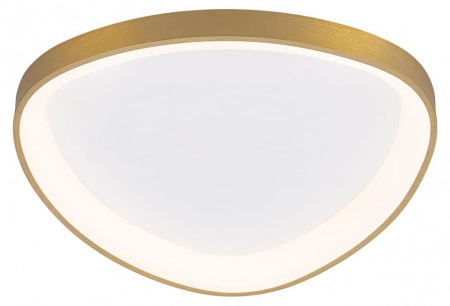 Накладной светильник Citilux GENKA SMART CL756A142