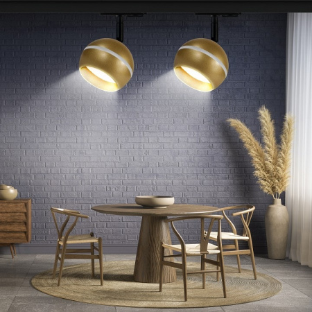 Светильник на штанге Эра TR47 GX53 MG