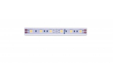 Лента светодиодная DesignLed DSG560 00-00000518