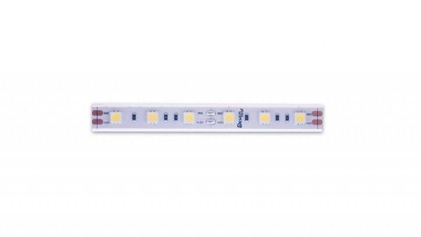 Лента светодиодная DesignLed DSG560 00-00000518