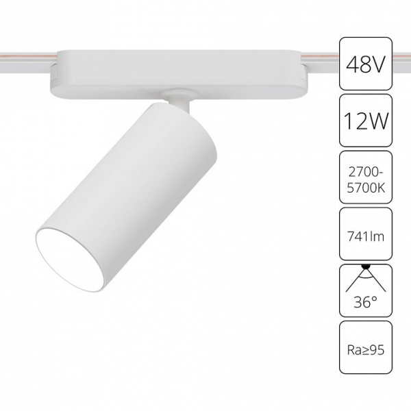 Светильник на штанге Arte Lamp Rapid A2958PL-1WH