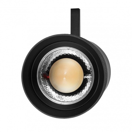 Светильник на штанге Lightstar Canno Pro 304407