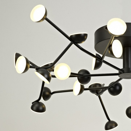 Накладной светильник Mantra Adn 6422