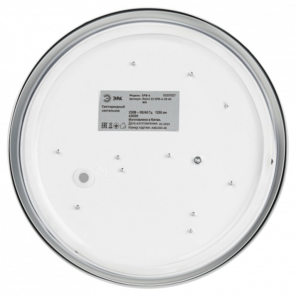 Накладной светильник Эра Relict Relict 22 SPB-6-20 4К WH