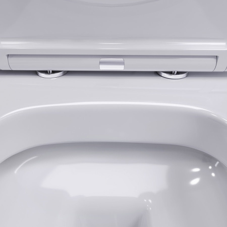 Подвесной унитаз Damixa Sirius DX86C1700SC с сиденьем микролифт