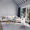 Очиститель воздуха Electrolux EAP-2050D Yin&Yang