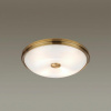 Накладной светильник Odeon Light Pelow 4956/4