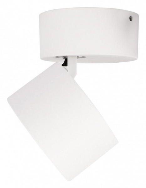 Спот Loft it Focus 10323/A White