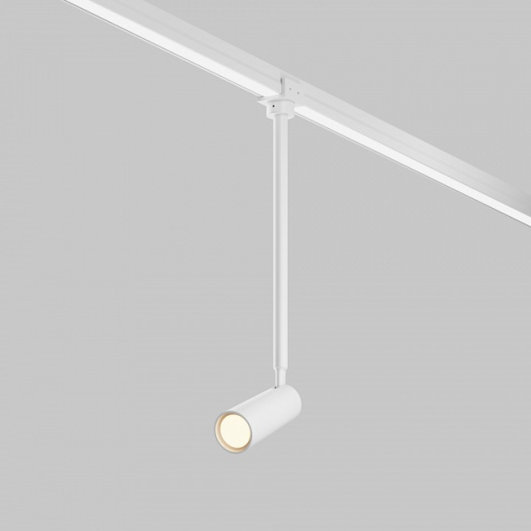 Светильник на штанге Maytoni Outdoor Фокус O-TR01-2-P-8WW3K