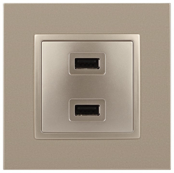 Розетка 2хUSB type A без рамки Эра Эра Elegance 14-4110-04