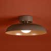 Накладной светильник Freya Движение FR5602CL-L10BR