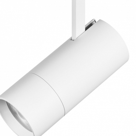 Светильник на штанге Lightstar Volta 229346