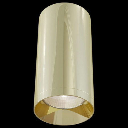 Накладной светильник Maytoni Technical Фокус C010CL-01G