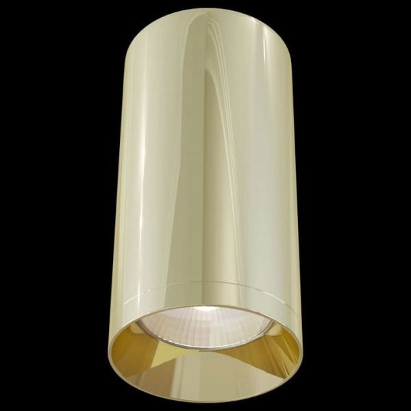 Накладной светильник Maytoni Technical Фокус C010CL-01G