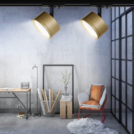 Светильник на штанге Эра TR48 GX53 MG