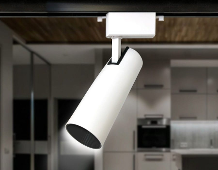 Светильник на штанге Ambrella Light GL GL5852