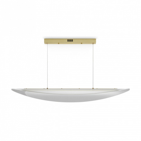 Подвесной светильник Freya Cloud FR5441PL-L40G