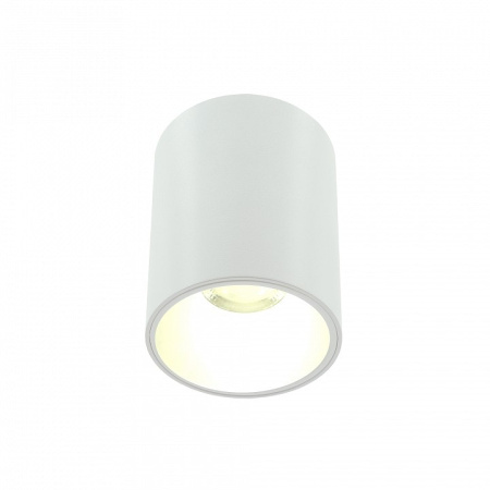 Накладной светильник LIGHTERA Shamrock LE200CL-1W