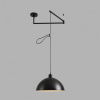 Подвесной светильник Lumion MODERNI 8321/1C
