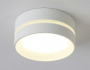 Накладной светильник Ambrella Light TN TN5388