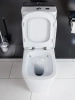 Крышка-сиденье BelBagno Albano BB120SC с микролифтом петли хром