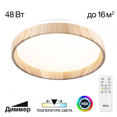 Накладной светильник Citilux ENZO CL753352G