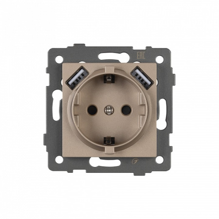 Розетка с заземлением и 2хUSB type A, без рамки Arlight SCT 049821