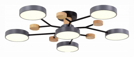 Потолочная люстра EVOLUCE Faema SLE6006-702-06