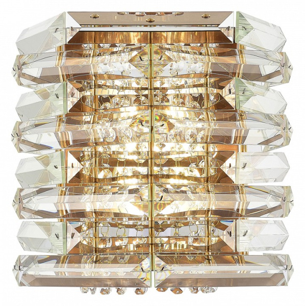 Накладной светильник ST-Luce STROZZI SL6137.201.02