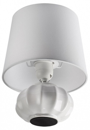 Настольная лампа декоративная Lumion Hama 8145/1Т