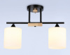Светильник на штанге Ambrella Light TR TR9543