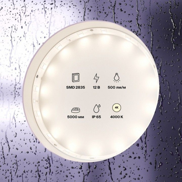 Лента светодиодная Maytoni Led Strip Светодиодная лента 12В 10106