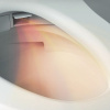 Подвесной унитаз TOTO Neorest WX1 CW927PZY