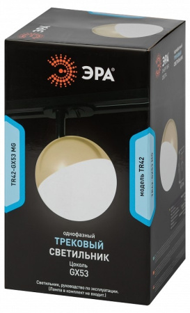 Светильник на штанге Эра TR42-GX53 MG