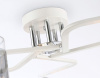 Потолочная люстра Ambrella Light TR TR303219