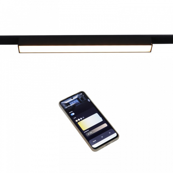 Накладной светильник Reluce  13003-9.3-001UR magnetic LED10W BK CCT+SMART