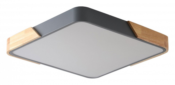 Накладной светильник Zortes Alberro ZRS.01288.48