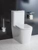 Крышка-сиденье BelBagno Albano BB120SC с микролифтом петли хром