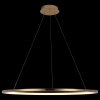 Подвесной светильник Loft it Ring 10014XL