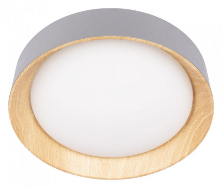Накладной светильник Loft it Coin 10202 Grey