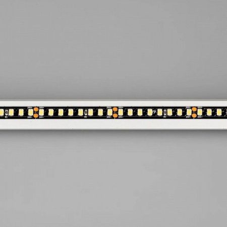 Лента светодиодная Arlight RT-A160 029427(2)