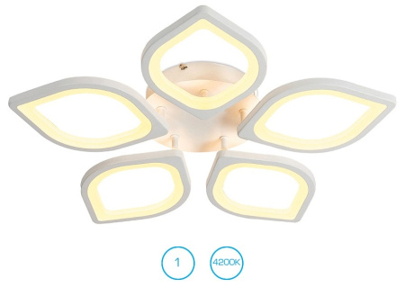 Накладной светильник Ambrella Light FA FA444